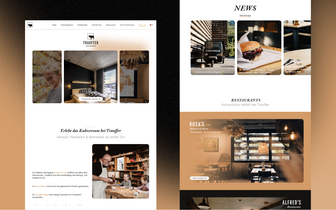 Trauffer — WEB, UX
